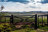 Fazenda mina nova